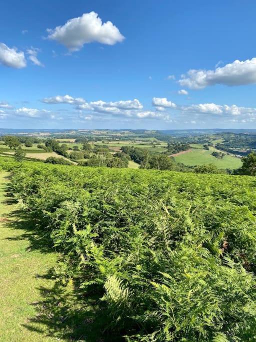 The Mill Stylish Rural Apartment With Beautiful Views Welsh Newton Common Exterior photo